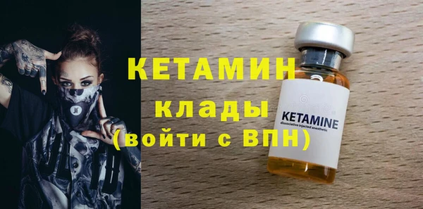 индика Кострома
